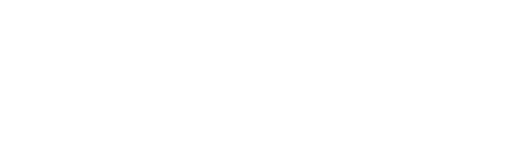 Full Throttle Saloon