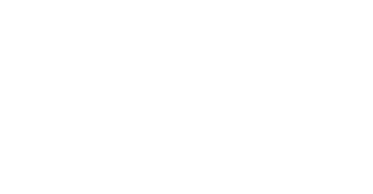 Revelry