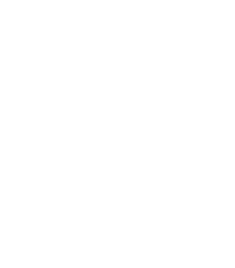 Waterfest